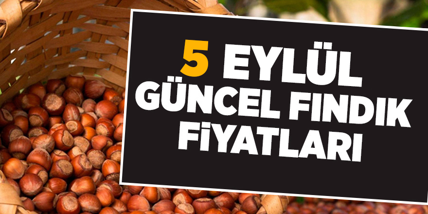 5 Eylül güncel fındık fiyatları - samsun haber