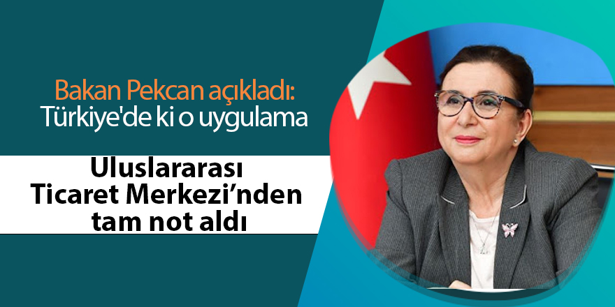 Türkiye Kadın Girişimci Online Network Programını ve Export Akademi Programı iyi uygulama örnekleri arasında