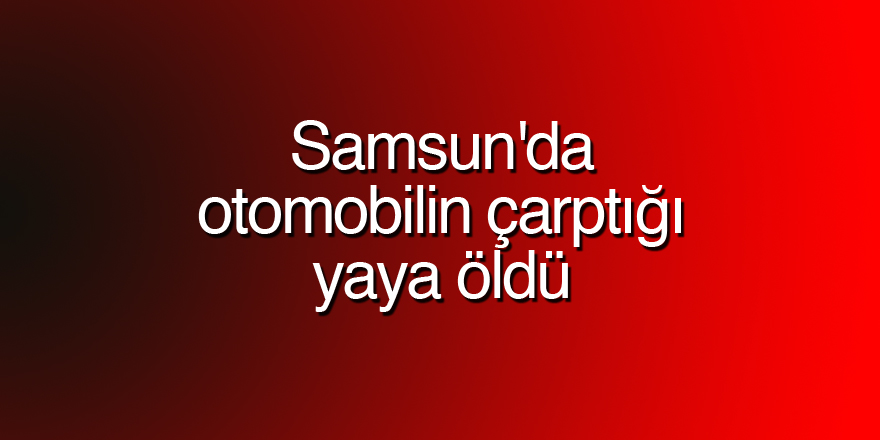 Samsun'da otomobilin çarptığı yaya öldü