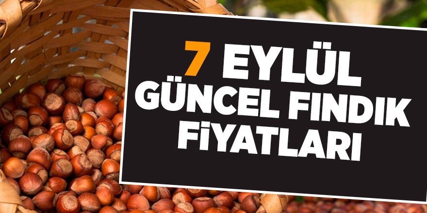 7 Eylül güncel fındık fiyatları - samsun haber