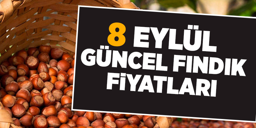 8 Eylül güncel fındık fiyatları - samsun haber