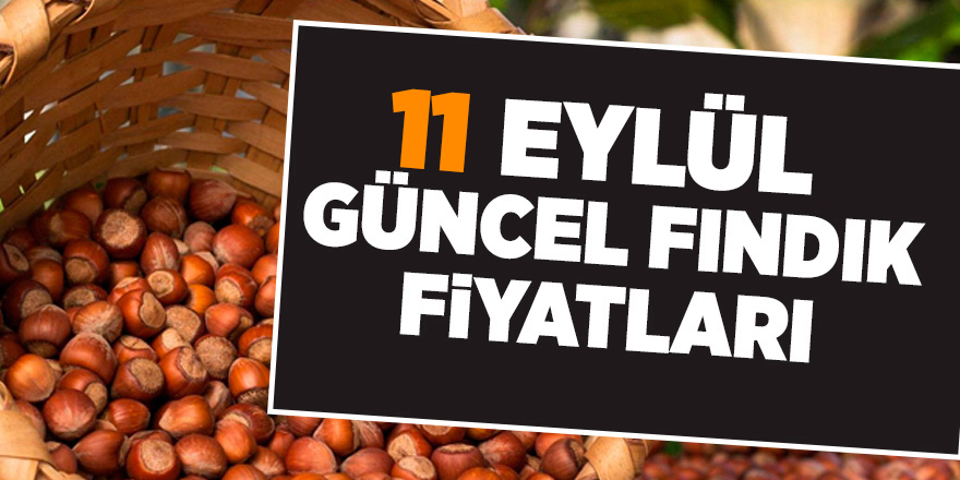 11 Eylül güncel fındık fiyatları - samsun haber