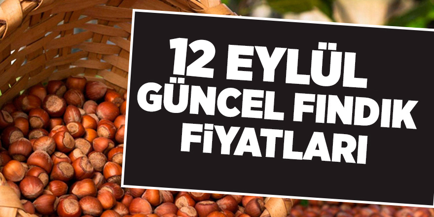 12 Eylül güncel fındık fiyatları - samsun haber