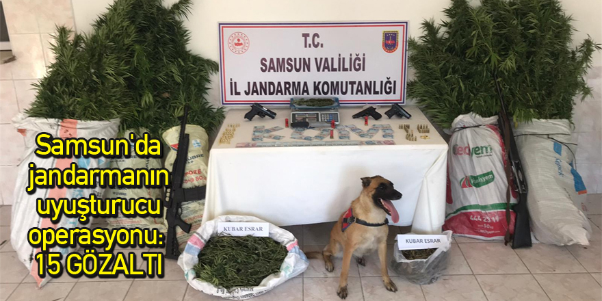 Samsun'da jandarmanın uyuşturucu operasyonu: 15 gözaltı