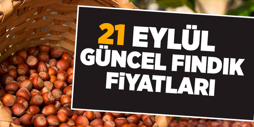 21 Eylül güncel fındık fiyatları - samsun haber