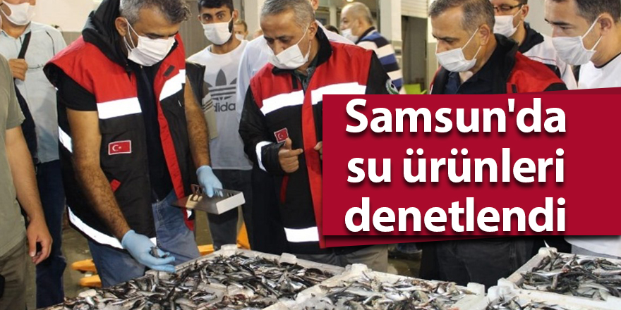 Samsun'da su ürünleri denetlendi - samsun haber