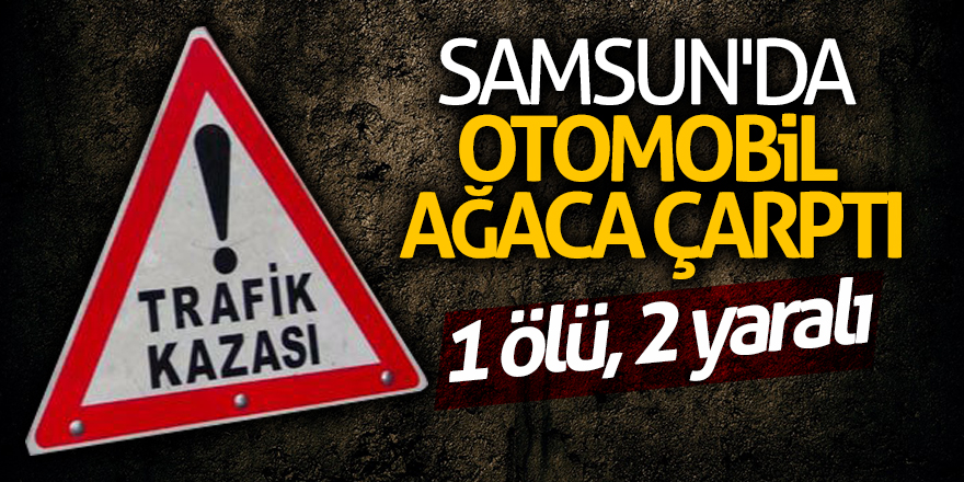 Samsun'da otomobil ağaca çarptı: 1 ölü, 2 yaralı