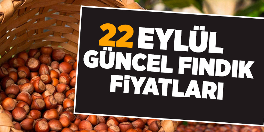 22 Eylül güncel fındık fiyatları - samsun haber