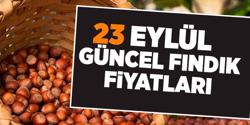 23 Eylül güncel fındık fiyatları - samsun haber