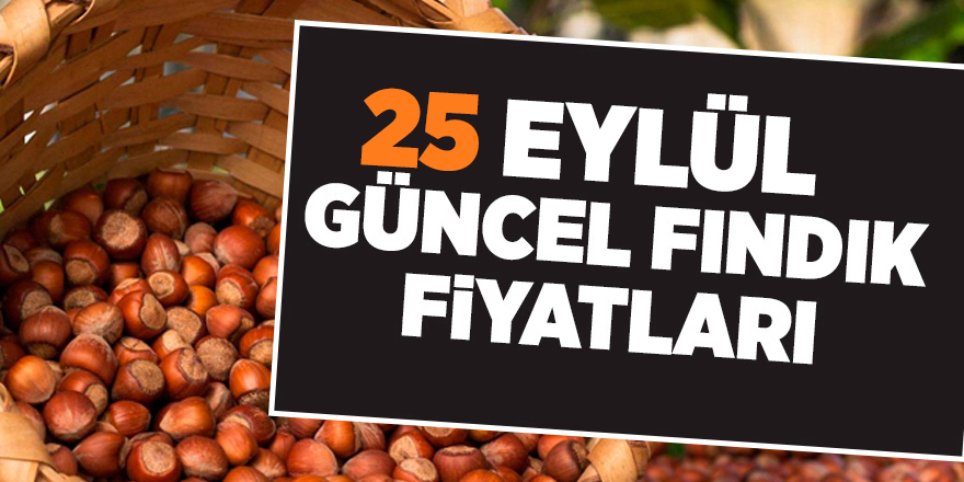 25 Eylül güncel fındık fiyatları - samsun haber