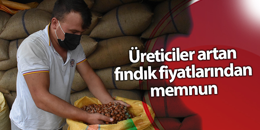 Üreticiler artan fındık fiyatlarından memnun - samsun haber