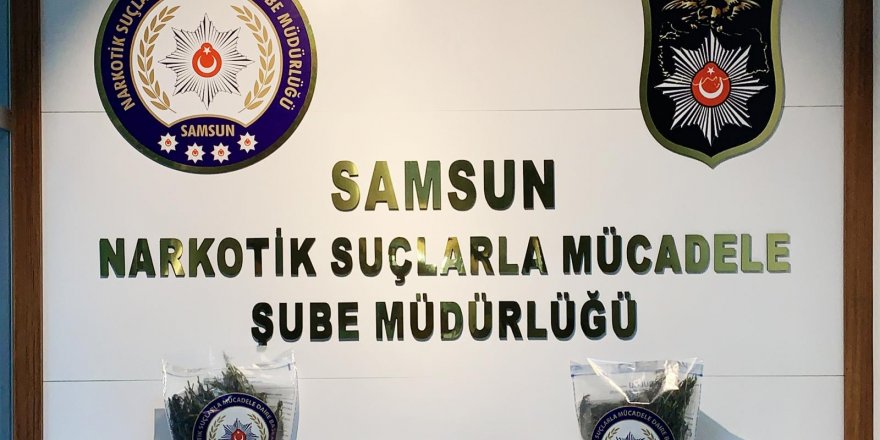 Samsun'da torbacı operasyonu: 1 gözaltı - samsun haber