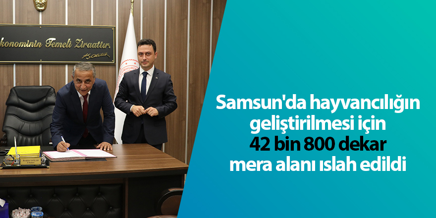 Samsun'da hayvancılığın geliştirilmesi için 42 bin 800 dekar mera alanı ıslah edildi