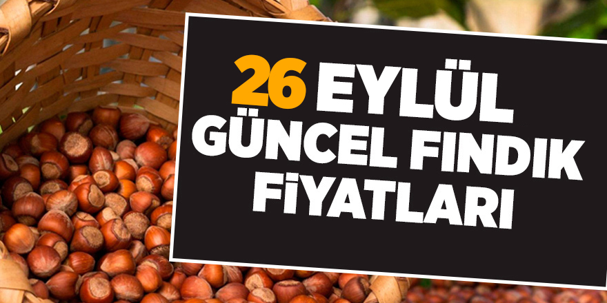 26 Eylül güncel fındık fiyatları - samsun haber