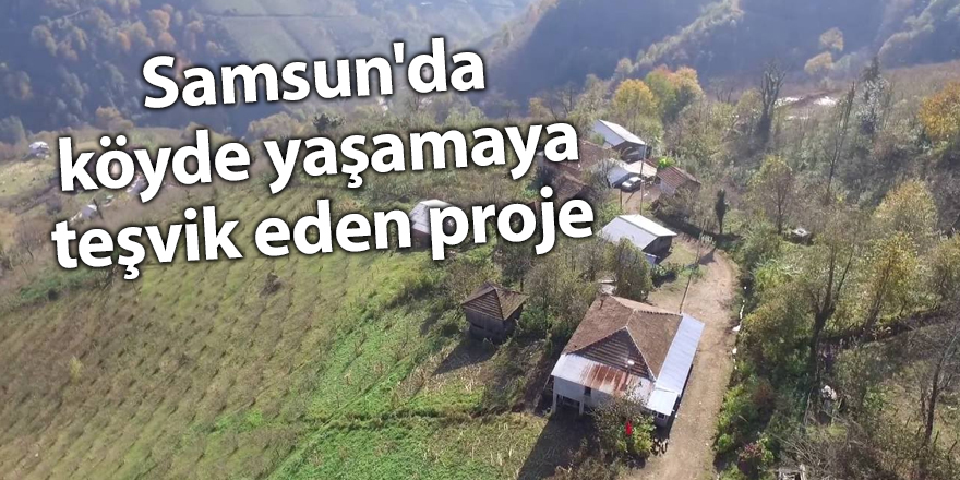 Samsun'da köyde yaşamaya teşvik eden proje - samsun haber