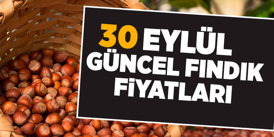 30 Eylül güncel fındık fiyatları - samsun haber