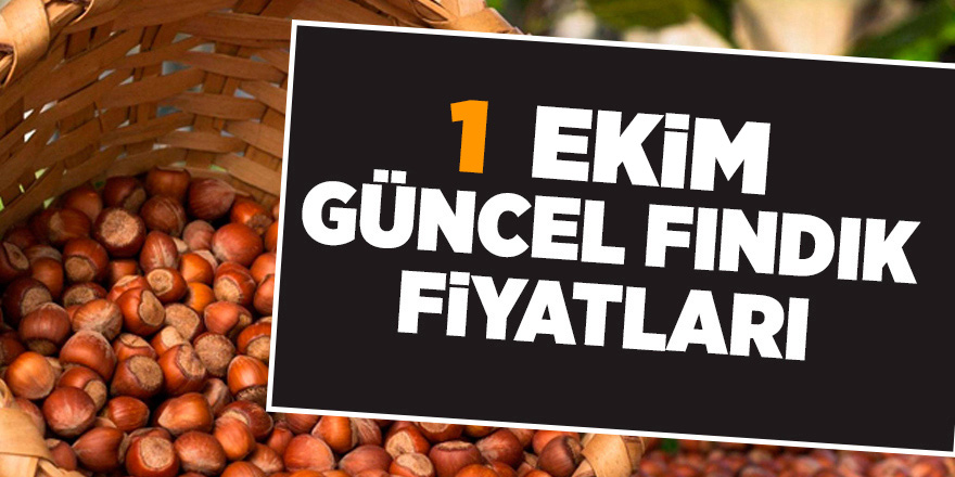 1 Ekim güncel fındık fiyatları - samsun haber