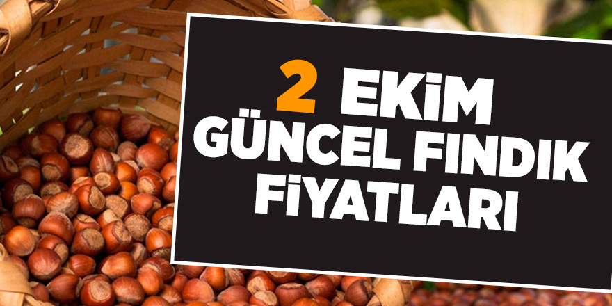 2 Ekim güncel fındık fiyatları - samsun haber