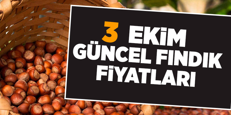 3 Ekim güncel fındık fiyatları - samsun haber