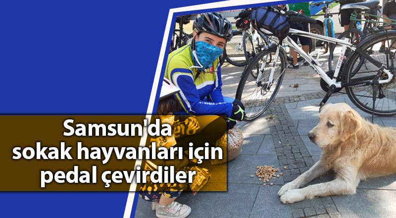 Samsun'da sokak hayvanları için pedal çevirdiler - samsun haber