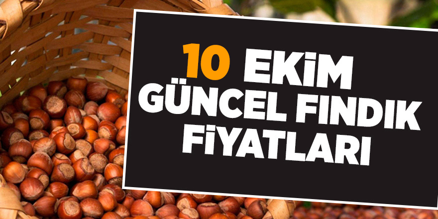 10 Ekim güncel fındık fiyatları - samsun haber