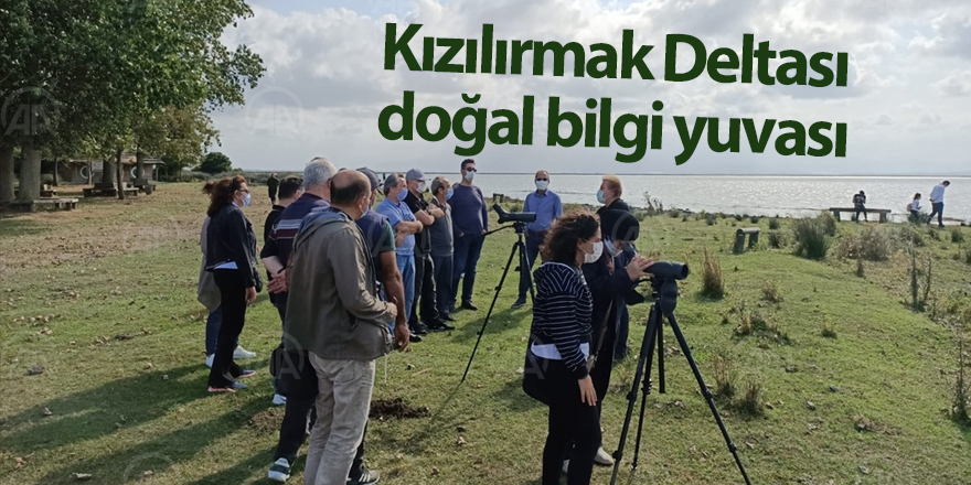 Kızılırmak Deltası ziyaretçilere "doğal laboratuvar" ortamı sunuyor - samsun haber