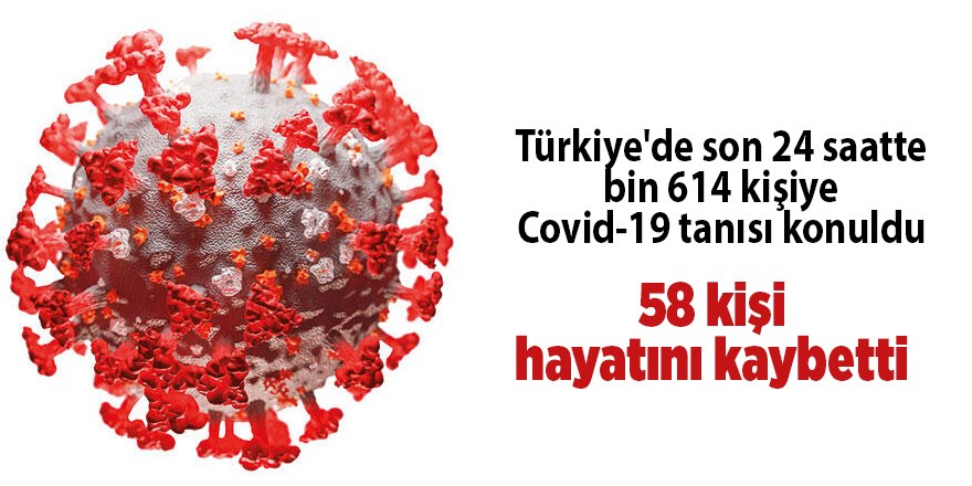 Türkiye'de son 24 saatte bin 614 kişiye Covid-19 tanısı konuldu - samsun haber