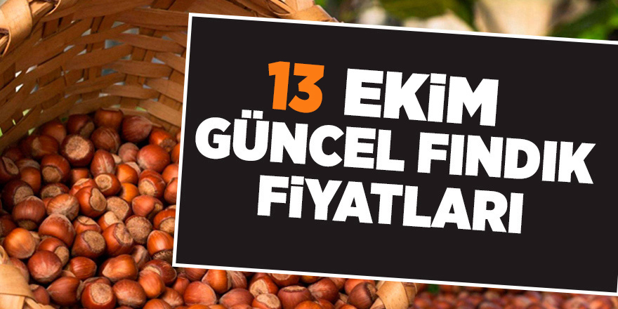 13 Ekim güncel fındık fiyatları - samsun haber