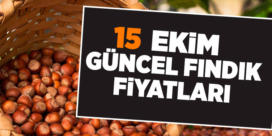 15 Ekim güncel fındık fiyatları - samsun haber