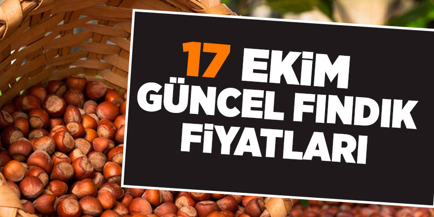 17 Ekim güncel fındık fiyatları - samsun haber