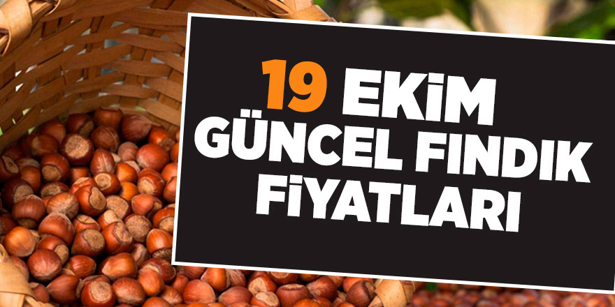 19 Ekim güncel fındık fiyatları - samsun haber