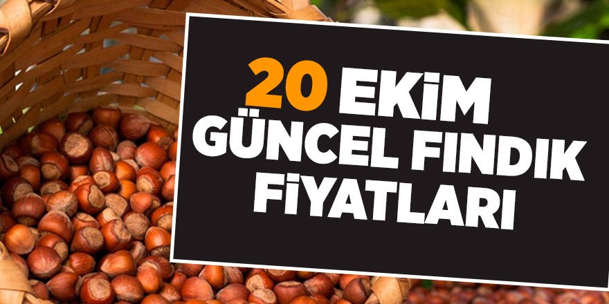 20 Ekim güncel fındık fiyatları - samsun haber