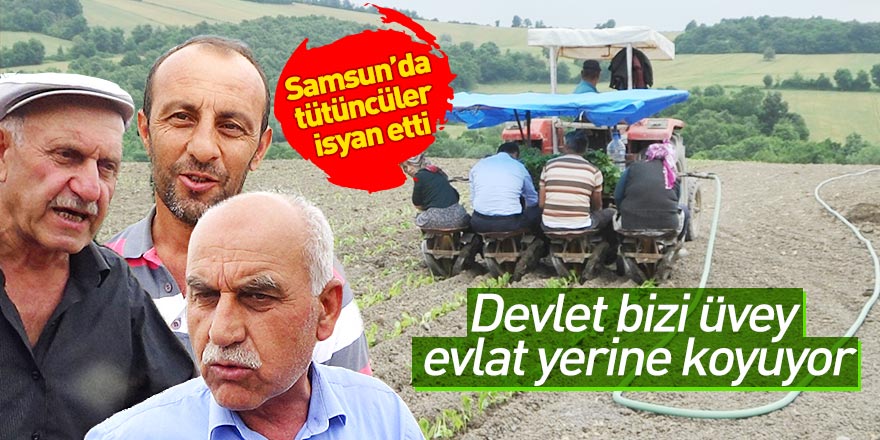 Samsun'da tütüncüler isyan etti