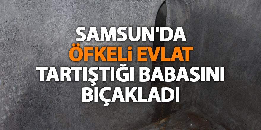 Samsun'da öfkeli evlat tartıştığı babasını bıçakladı - samsun haber