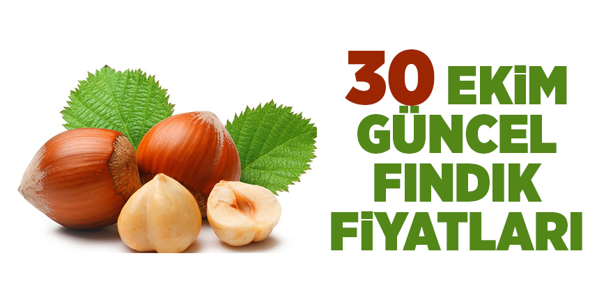 30 Ekim güncel fındık fiyatları - samsun haber