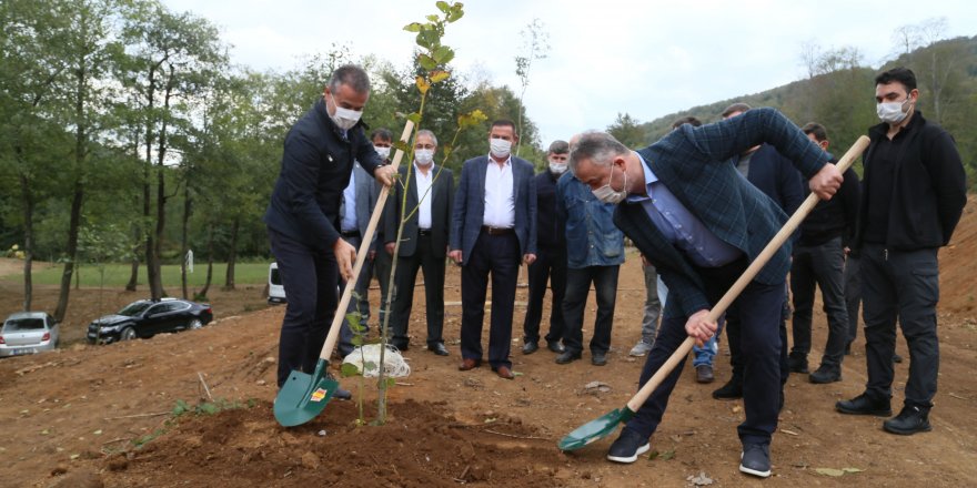 19 Mayıs Belediyesi Nebiyan Dağı'na fidan dikti - samsun haber