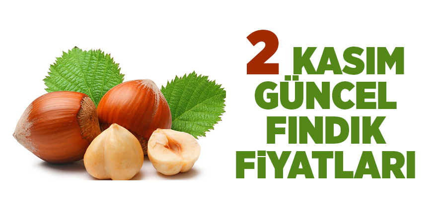 2 Kasım güncel fındık fiyatları - samsun haber