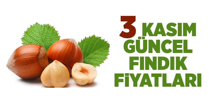 3 Kasım güncel fındık fiyatları - samsun haber