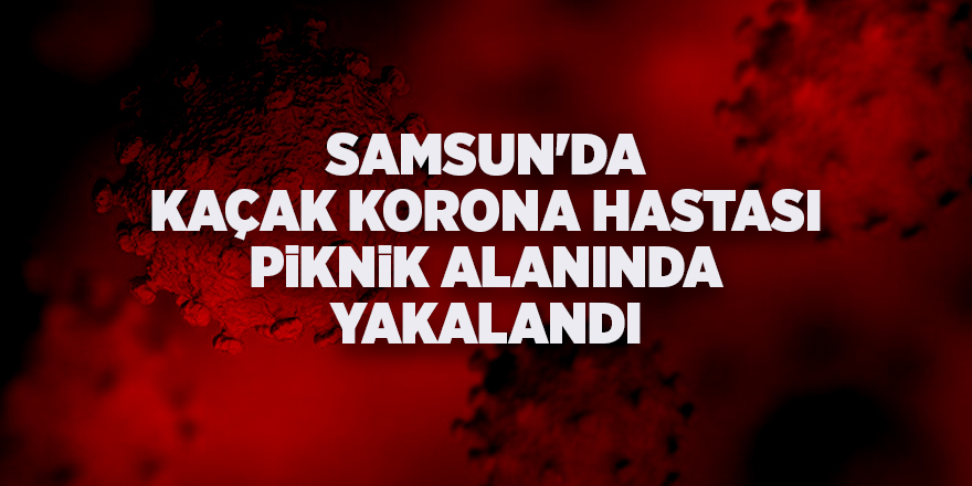 Samsun'da kaçak korona hastası piknik alanında yakalandı - samsun haber