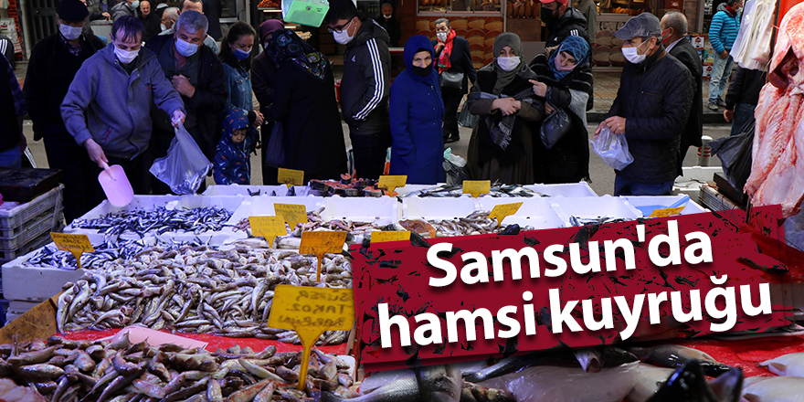 Kapış kapış giden hamsinin kilosu 20 TL’den satılıyor - samsun haber