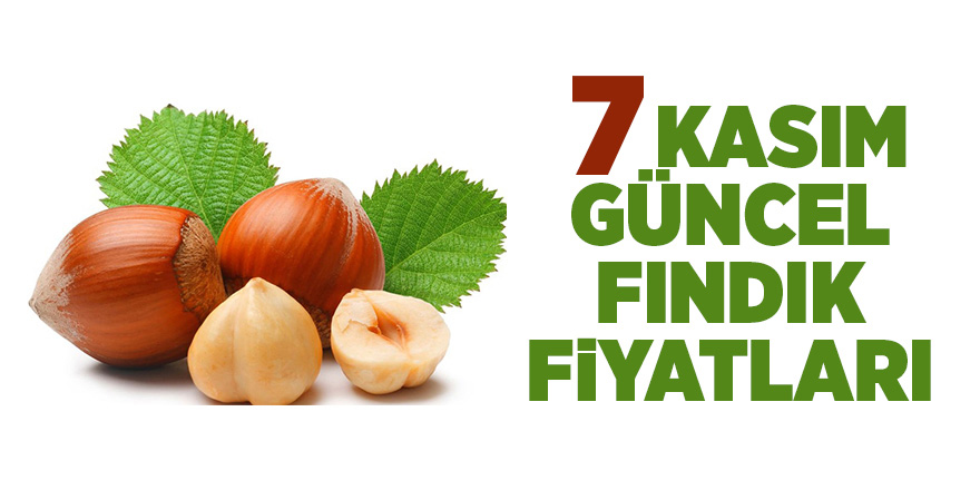 7 Kasım güncel fındık fiyatları - samsun haber