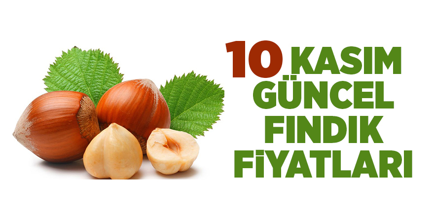 10 Kasım güncel fındık fiyatları - samsun haber