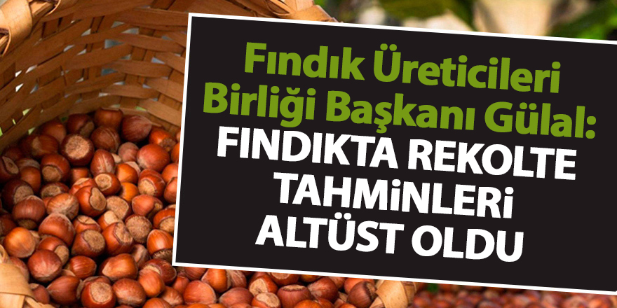 Fındık Üreticileri Birliği Başkanı Gülal: Fındıkta rekolte tahminler altüst oldu