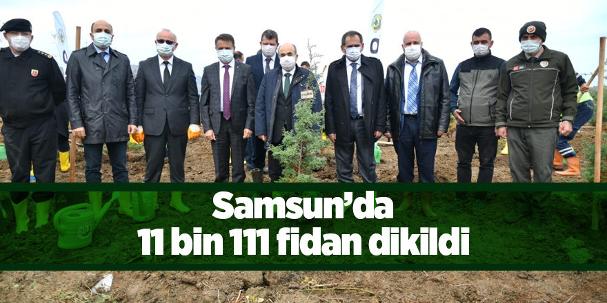 Samsun’da 11 bin 111 fidan dikildi - samsun haber