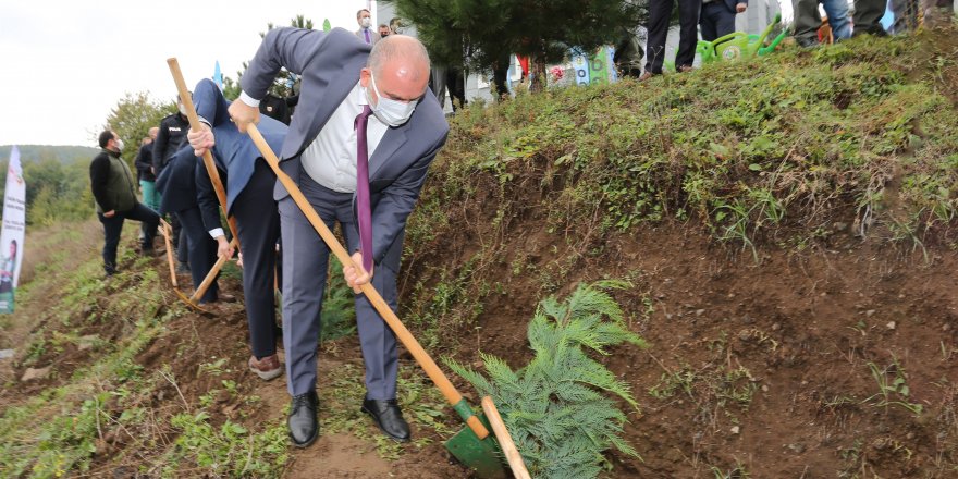 Başkan Sandıkçı: Ormanlar gerçek servettir - samsun haber