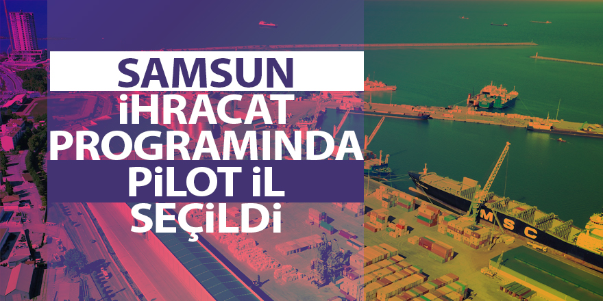 Bakanlıktan Samsun'daki firmalara ihracat desteği - samsun haber