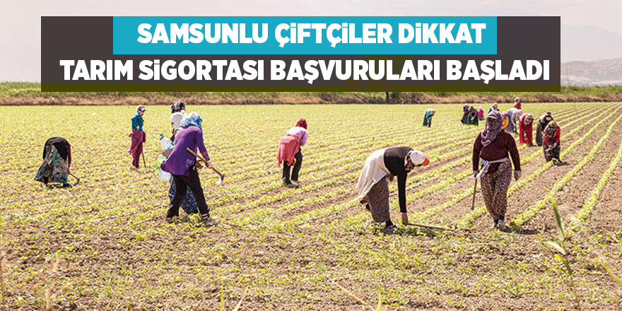 Tarım sigortası başvuruları başladı - samsun haber