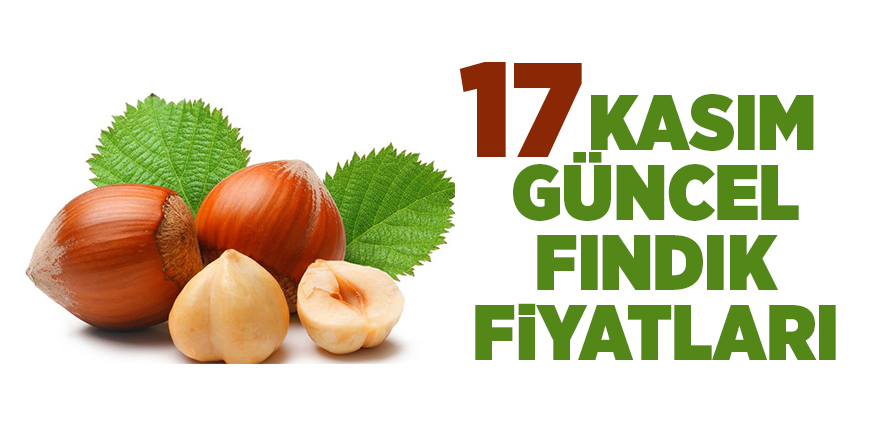 17 Kasım güncel fındık fiyatları - samsun haber