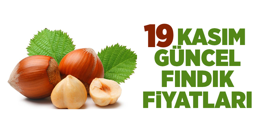 19 Kasım güncel fındık fiyatları - samsun haber