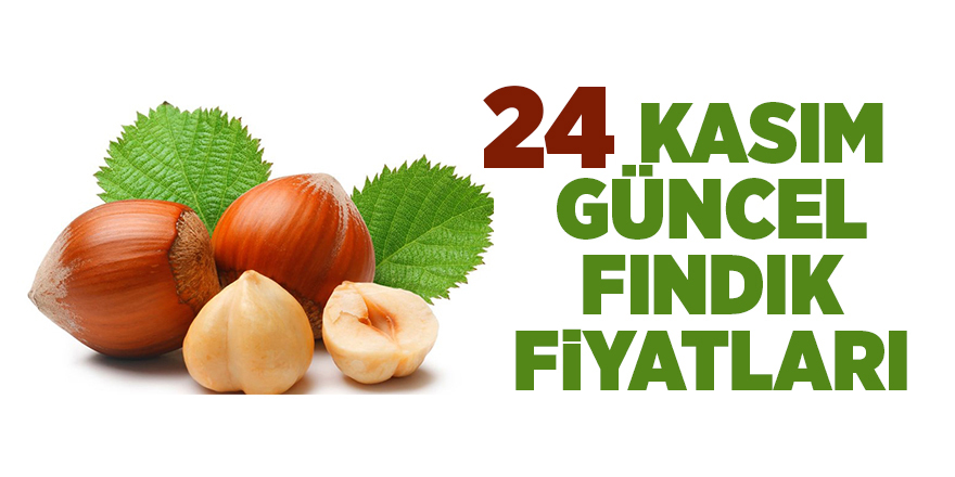 24 Kasım güncel fındık fiyatları - samsun haber